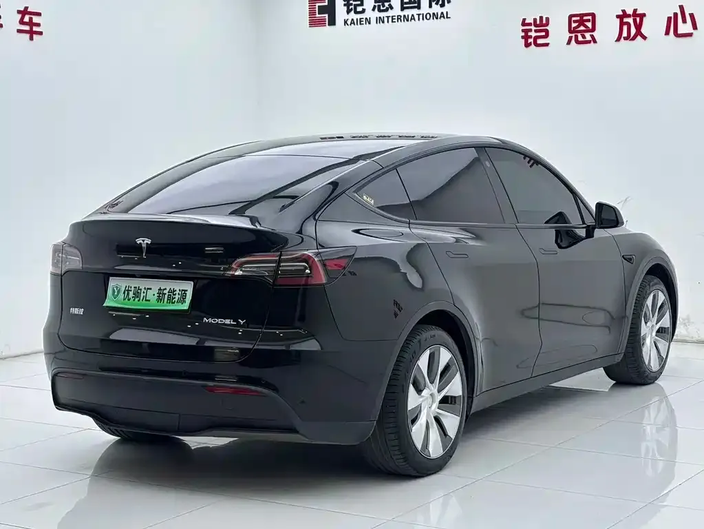 Tesla Model Y — фото 5