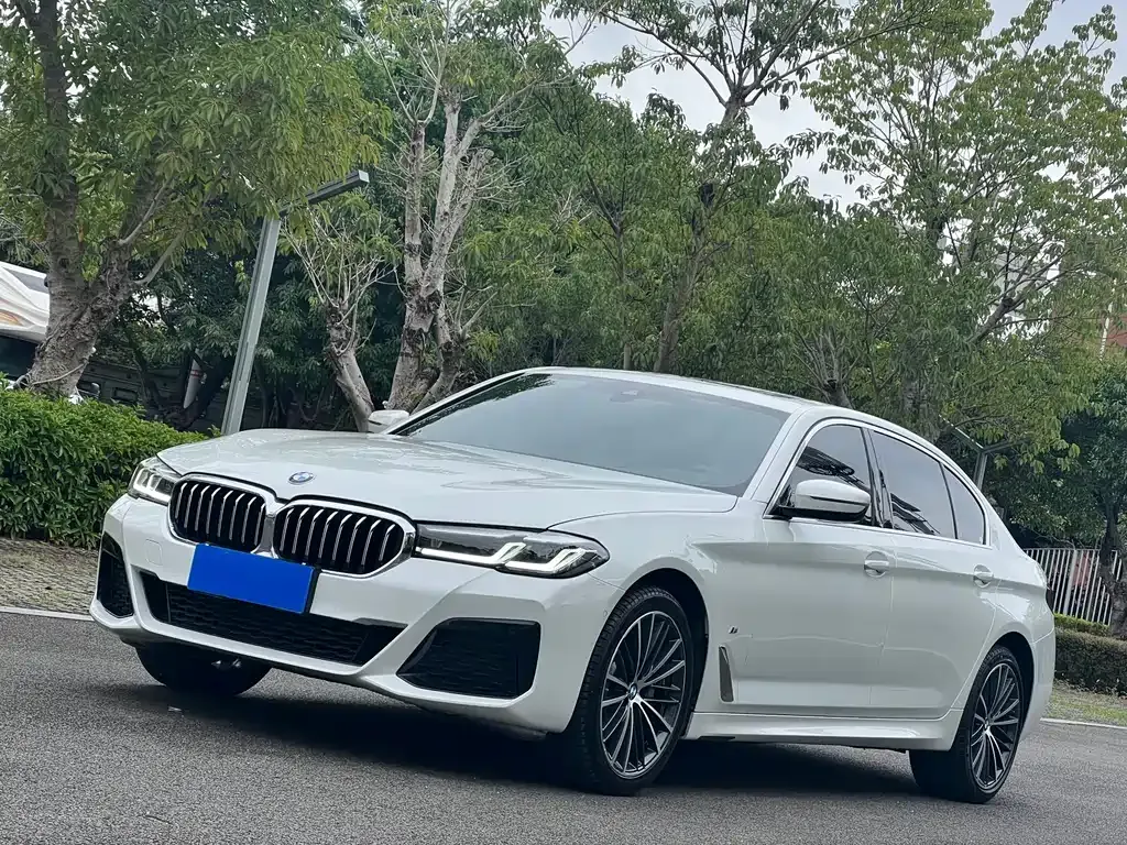 BMW 5 Series 2023 из CN, фото 1