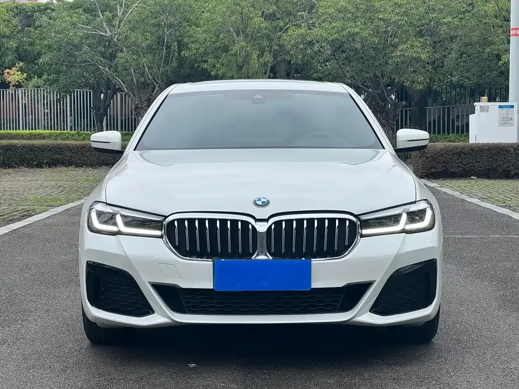 BMW 5 Series 2023 из CN, фото 2