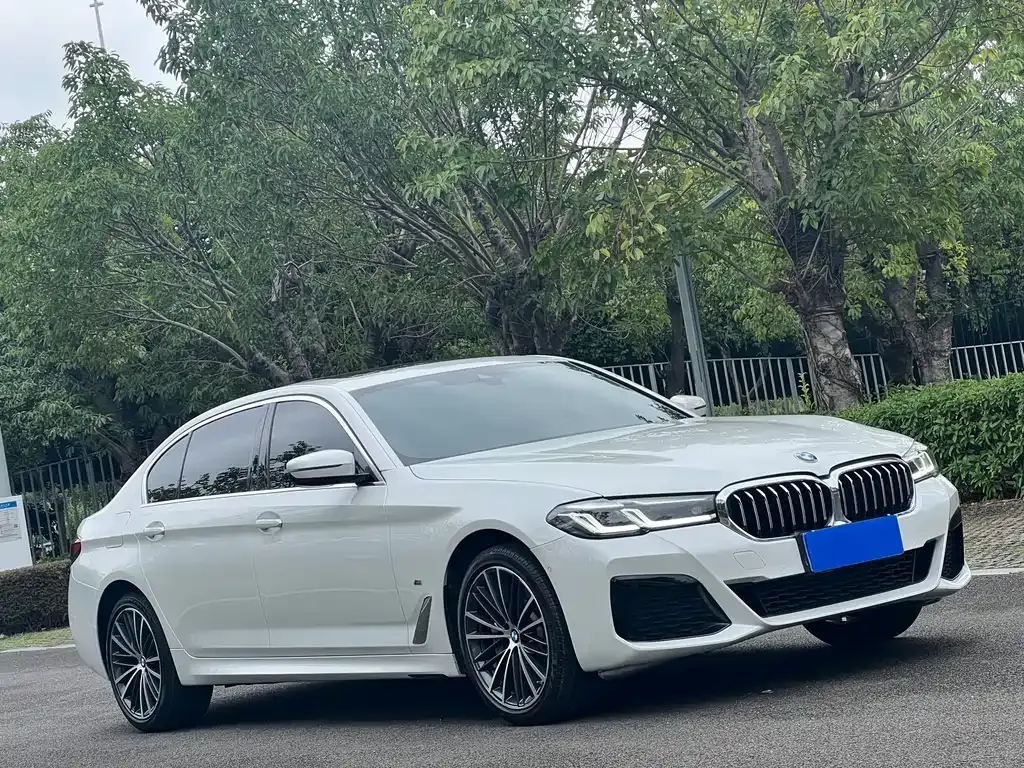 BMW 5 Series 2023 из CN, фото 3