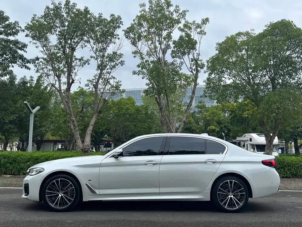 BMW 5 Series 2023 из CN, фото 5