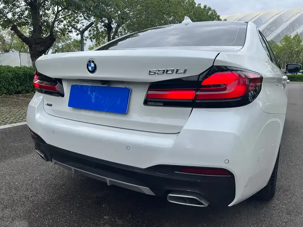 BMW 5 Series 2023 из CN, фото 7