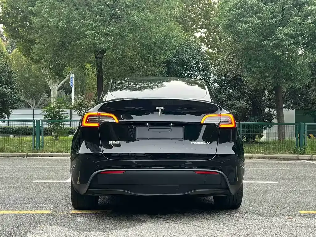 Tesla Model Y — фото 8