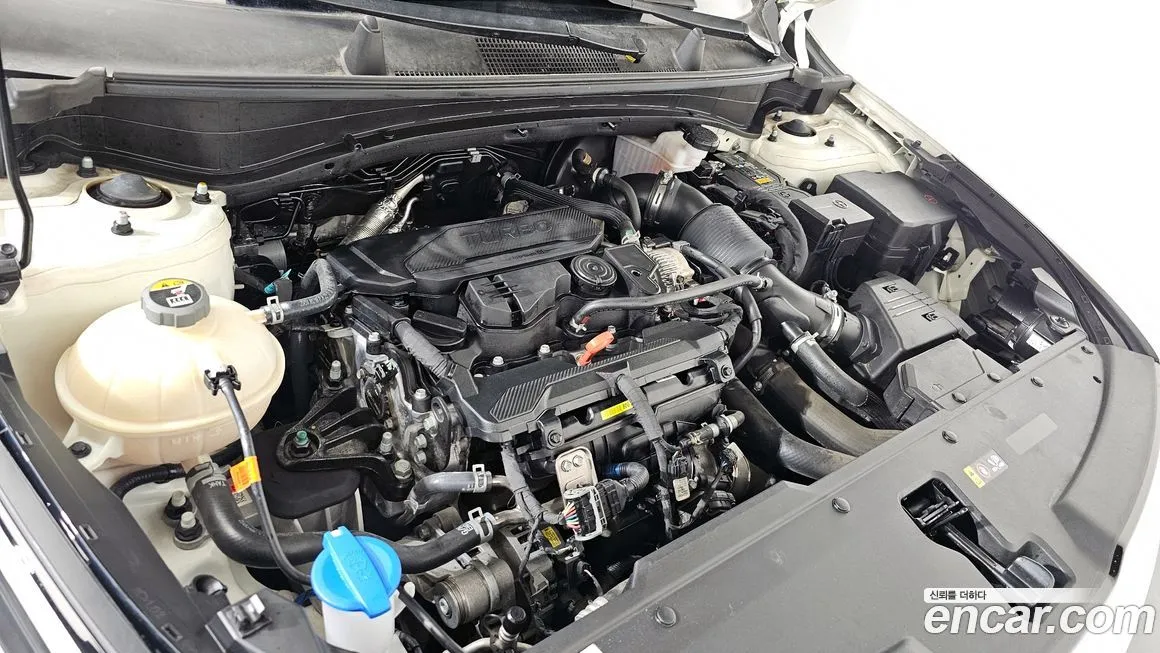 Kia Sportage — фото 6