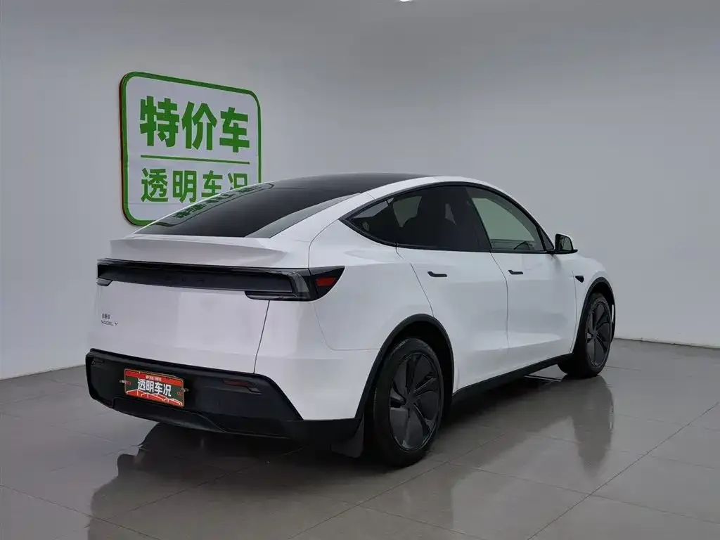 Tesla Model Y — фото 2