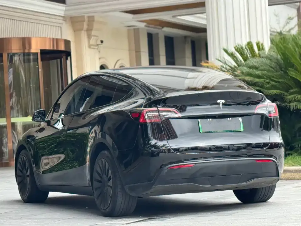 Tesla Model Y — фото 10