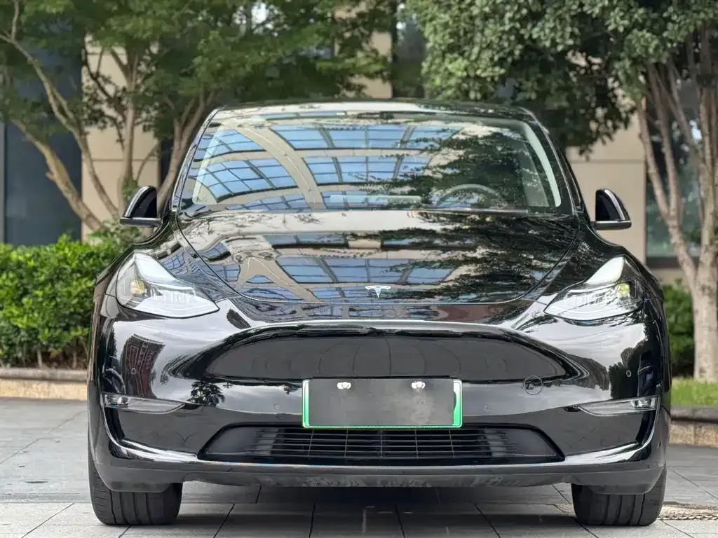 Tesla Model Y — фото 2