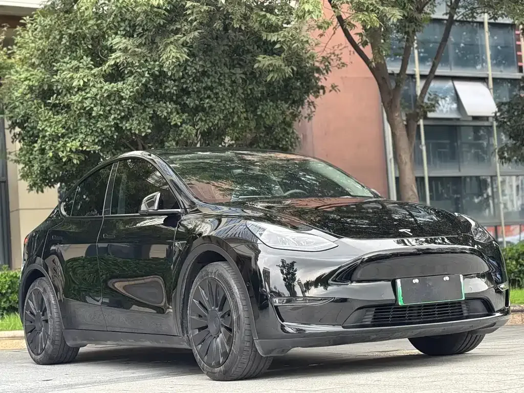 Tesla Model Y — фото 3