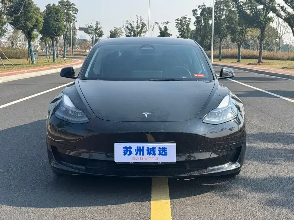 Tesla Model 3 — фото 2