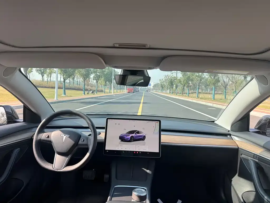 Tesla Model 3 — фото 6