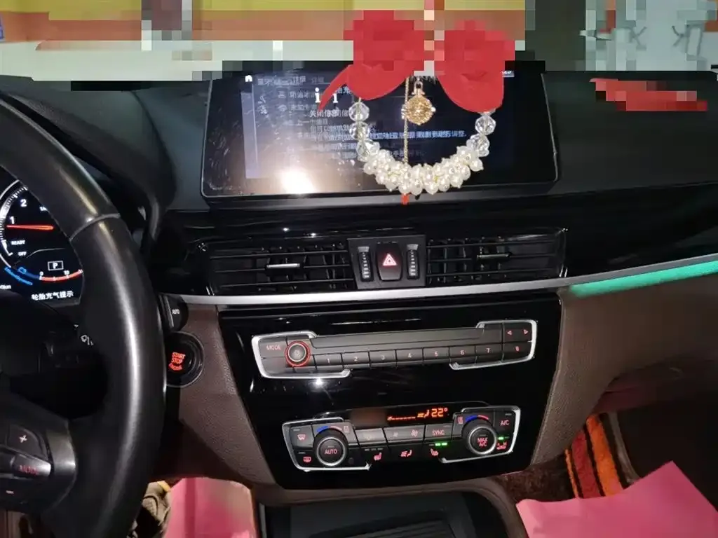 BMW X1 2021 из CN, фото 6