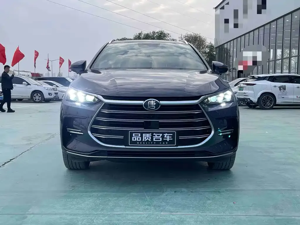BYD Tang New Energy 2021 из CN, фото 2