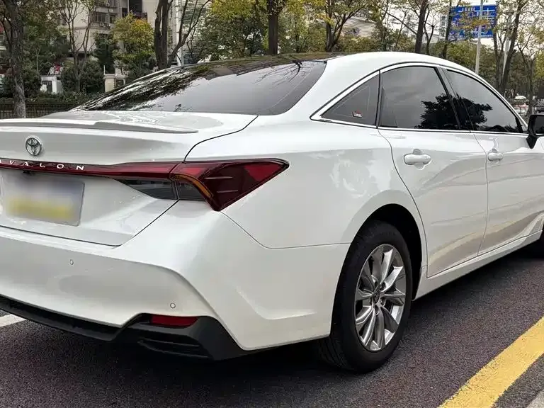 [object Object] Avalon 2025 из CN, фото 10