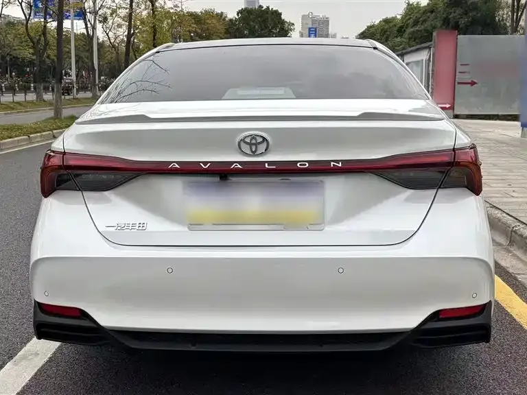 [object Object] Avalon 2025 из CN, фото 8