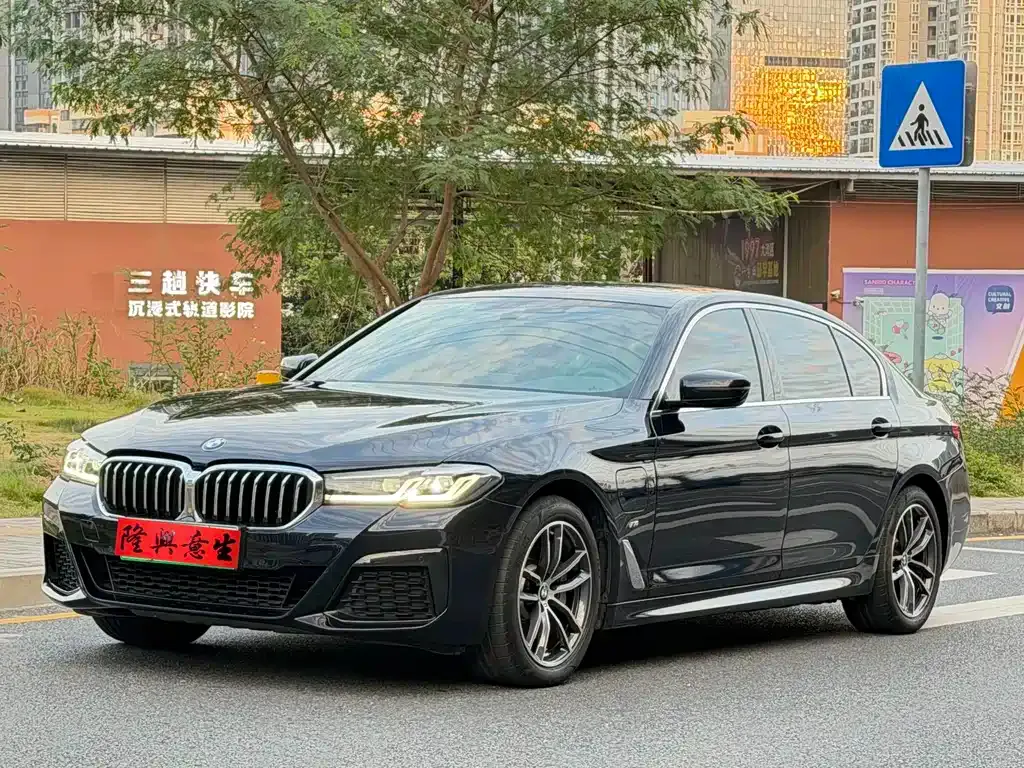 BMW 5 Series New Energy 2021 из CN, фото 1