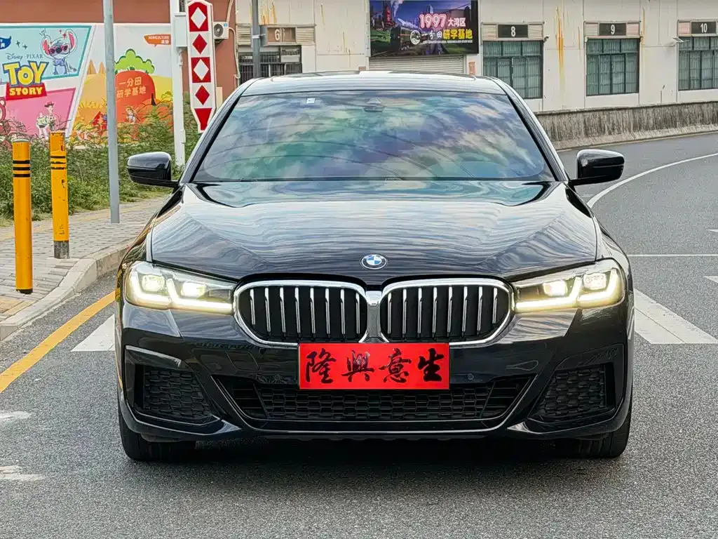 BMW 5 Series New Energy 2021 из CN, фото 2
