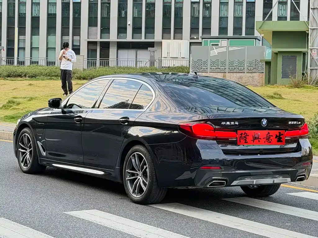 BMW 5 Series New Energy 2021 из CN, фото 6