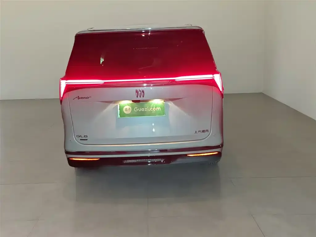 Buick GL8 Hybrid 2024 из CN, фото 6