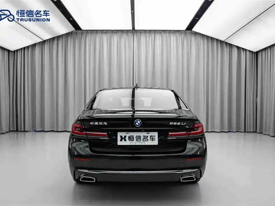 BMW 5 Series 2024 из CN, фото 6