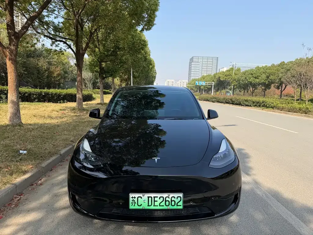 Tesla Model Y — фото 2
