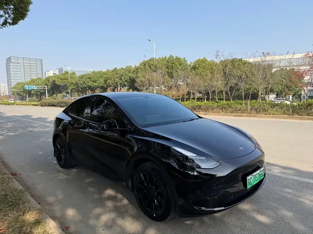 Tesla Model Y — фото 3