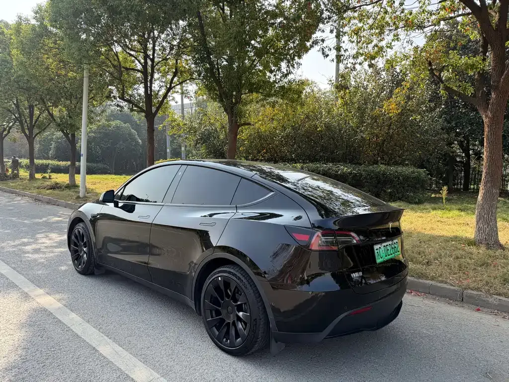 Tesla Model Y — фото 5