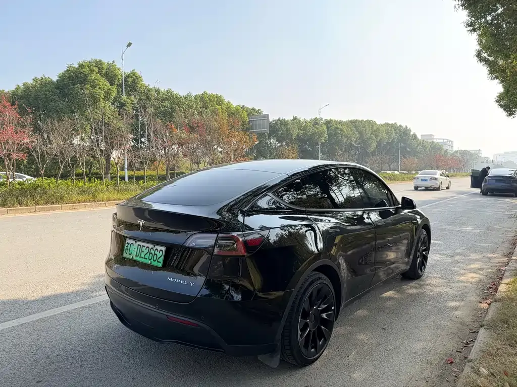 Tesla Model Y — фото 6