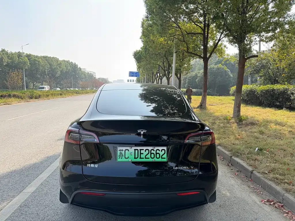 Tesla Model Y — фото 7