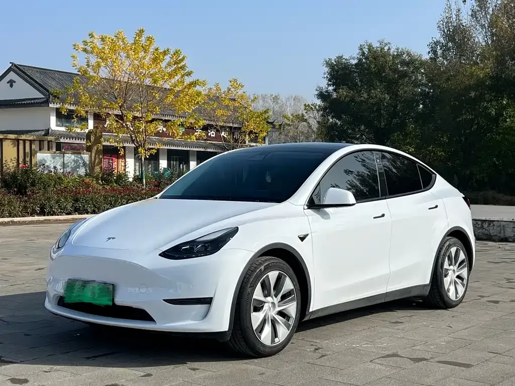 Tesla Model Y 2022 из CN, фото 1