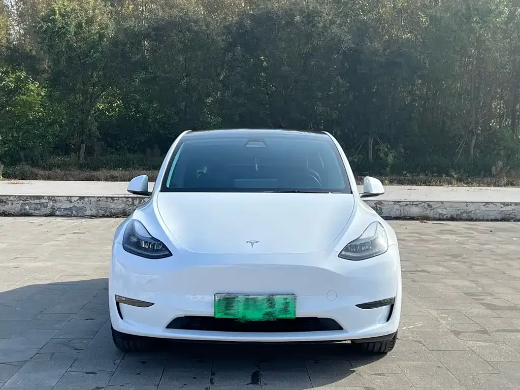 Tesla Model Y 2022 из CN, фото 2
