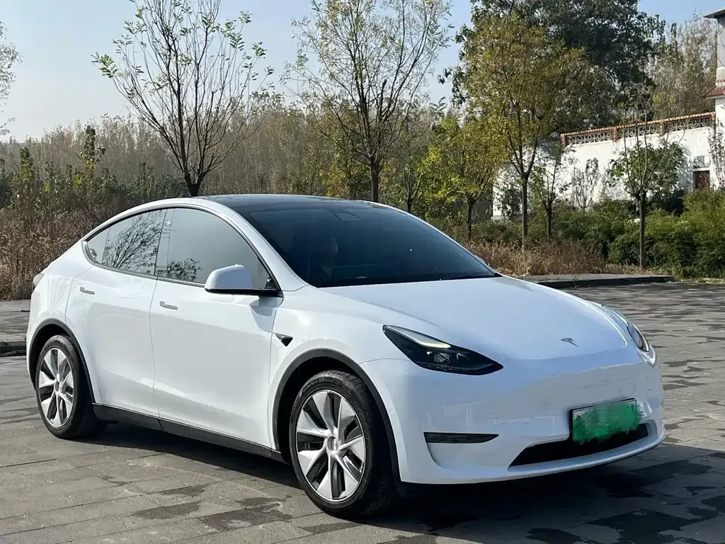 Tesla Model Y 2022 из CN, фото 3
