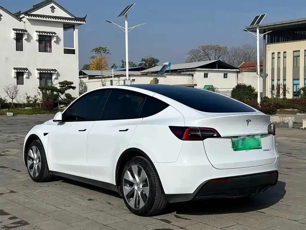 Tesla Model Y 2022 из CN, фото 4