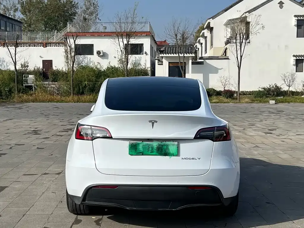 Tesla Model Y 2022 из CN, фото 5