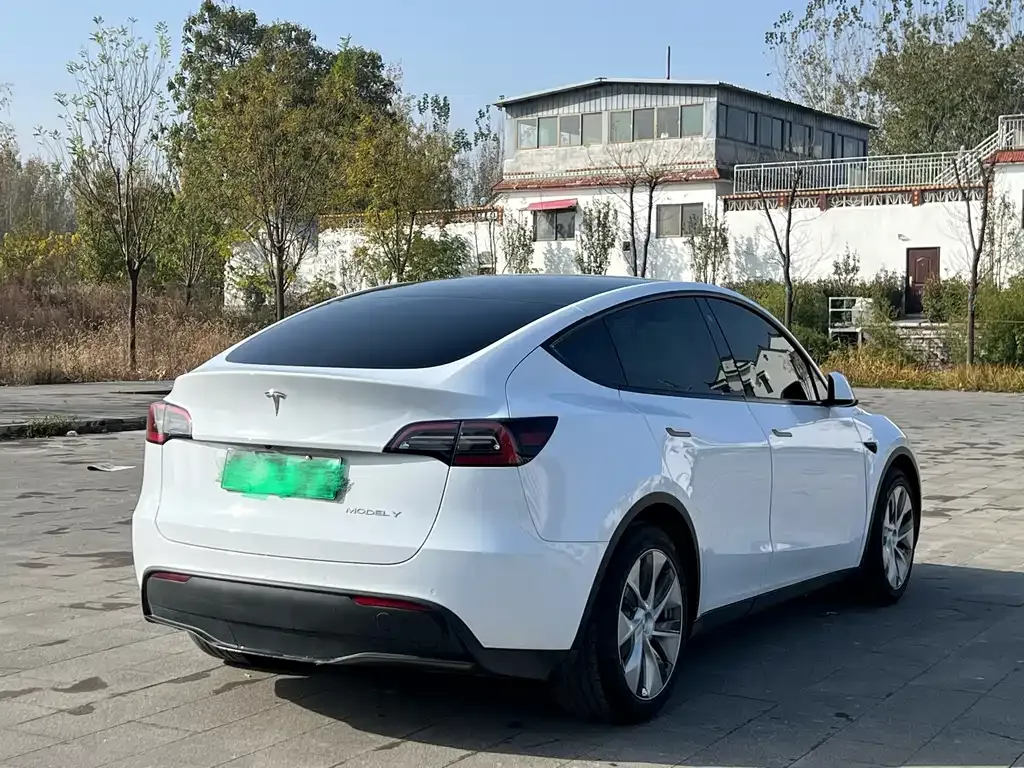 Tesla Model Y 2022 из CN, фото 6