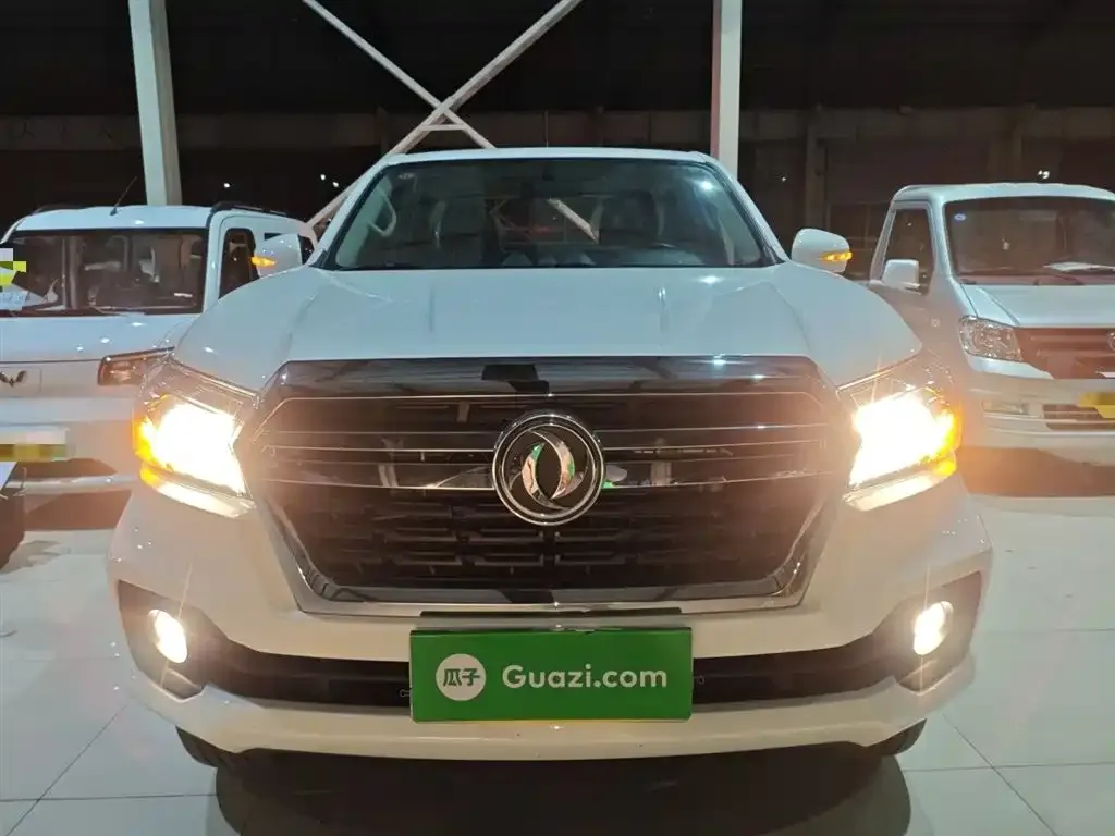 Dongfeng Rich 6 2024 из CN, фото 3