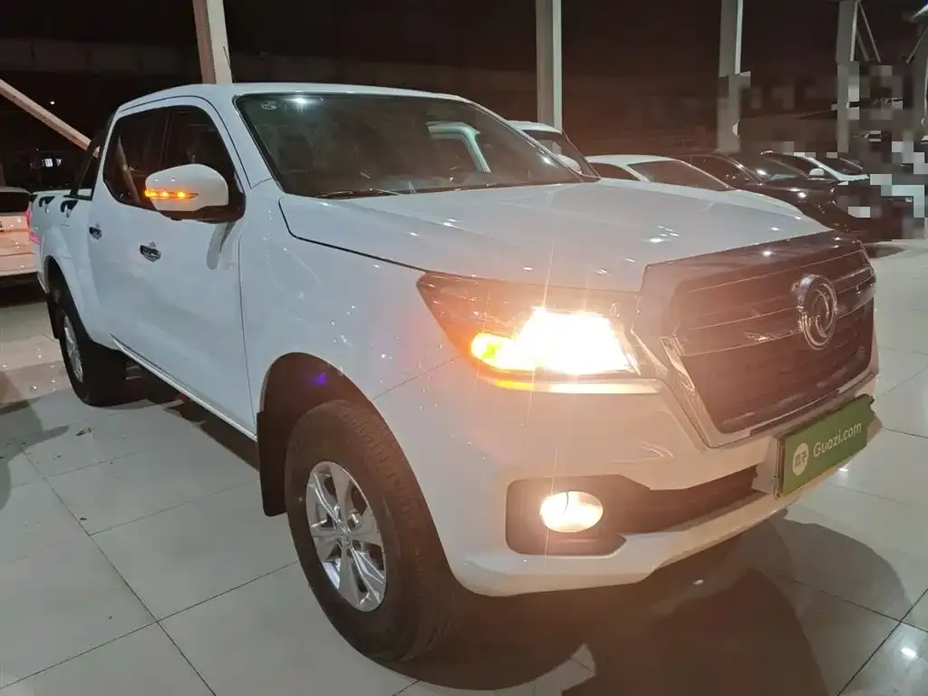 Dongfeng Rich 6 2024 из CN, фото 4