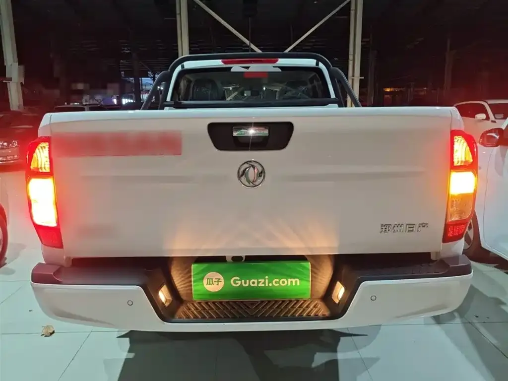Dongfeng Rich 6 2024 из CN, фото 6