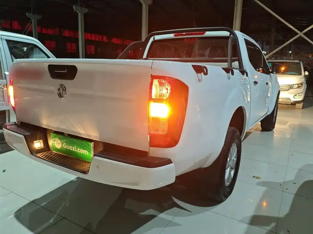 Dongfeng Rich 6 2024 из CN, фото 7