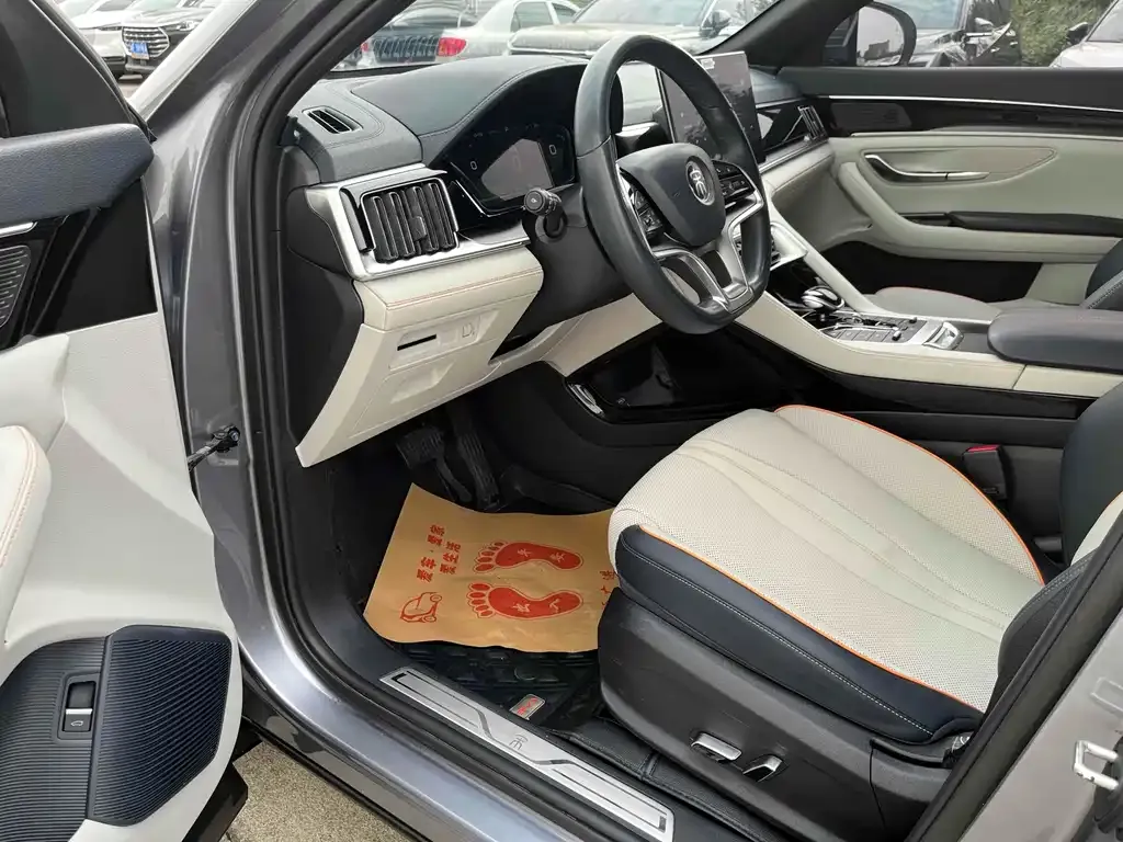 BYD PLUS New Energy — фото 9