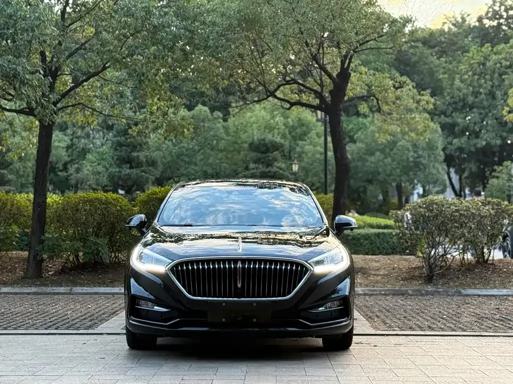 Hongqi H5 — фото 3