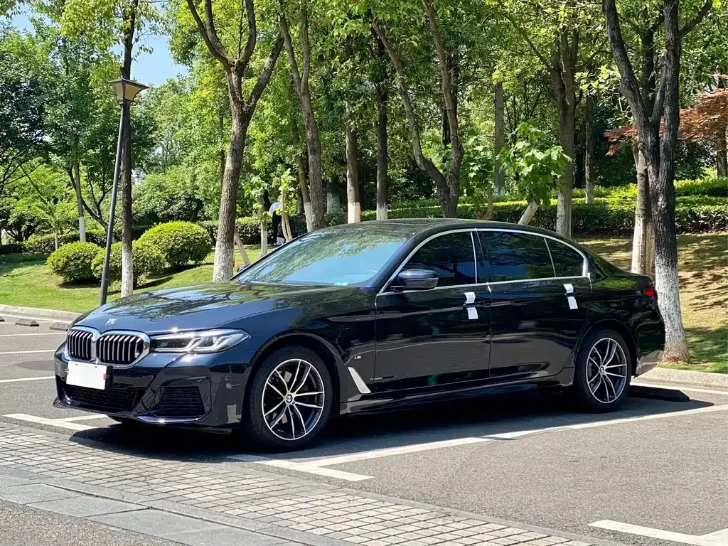 BMW 5 Series 2023 из CN, фото 1
