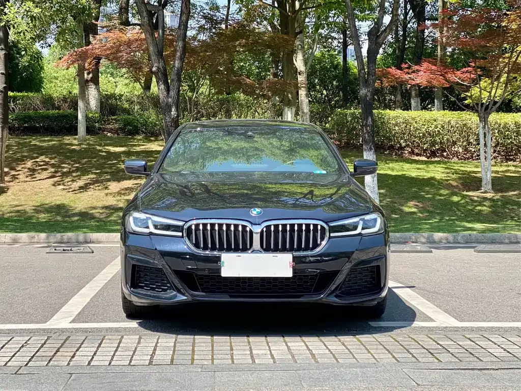 BMW 5 Series 2023 из CN, фото 2