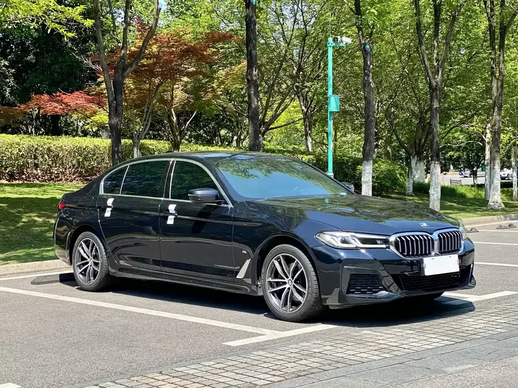 BMW 5 Series 2023 из CN, фото 3