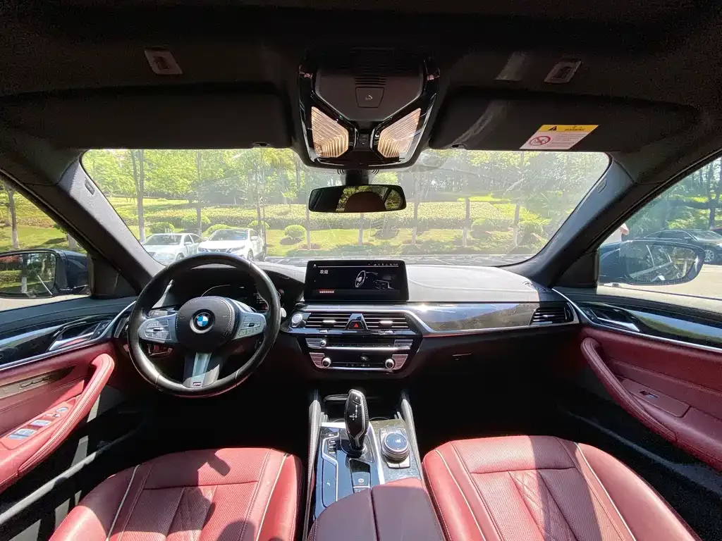 BMW 5 Series 2023 из CN, фото 5