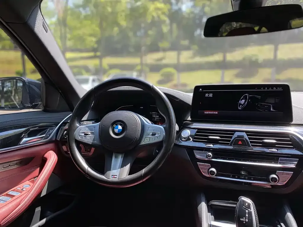 BMW 5 Series 2023 из CN, фото 7