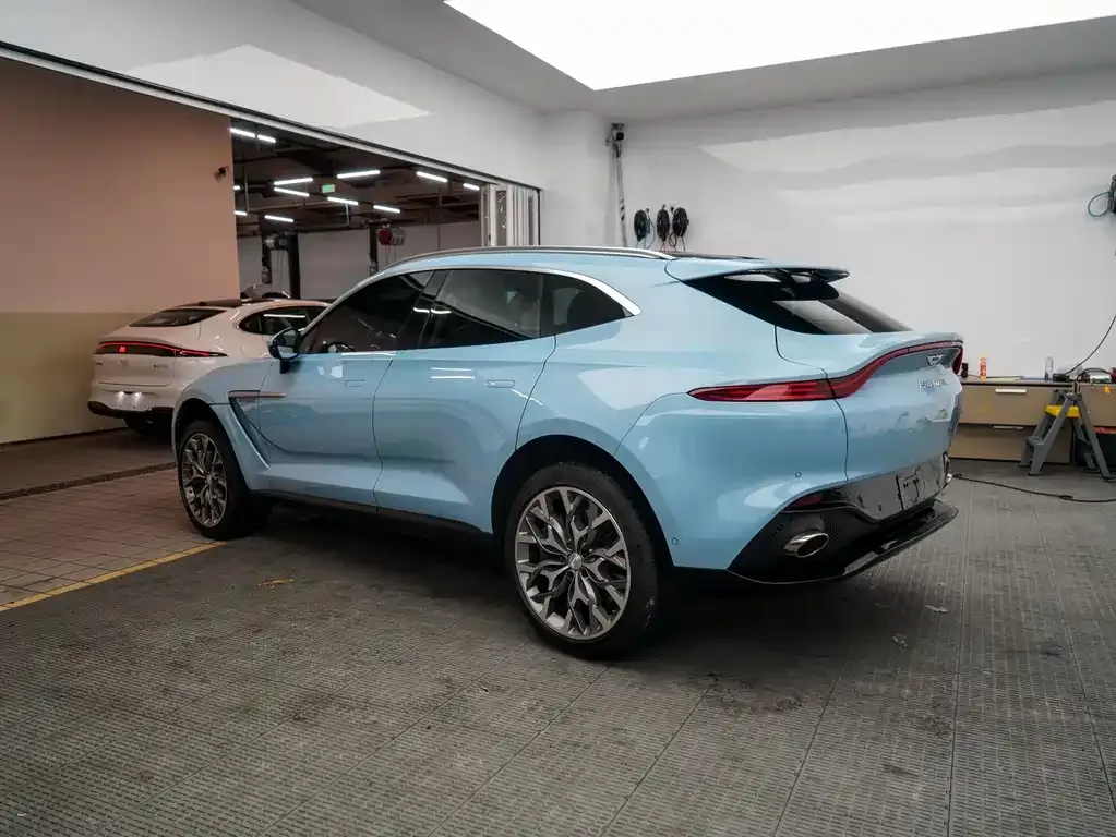 Aston Martin DBX 2022 из CN, фото 4