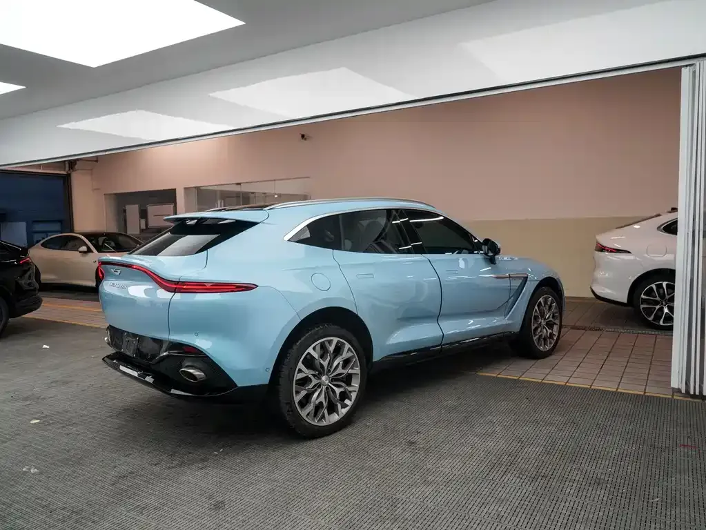Aston Martin DBX 2022 из CN, фото 5