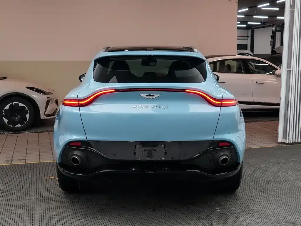 Aston Martin DBX 2022 из CN, фото 6