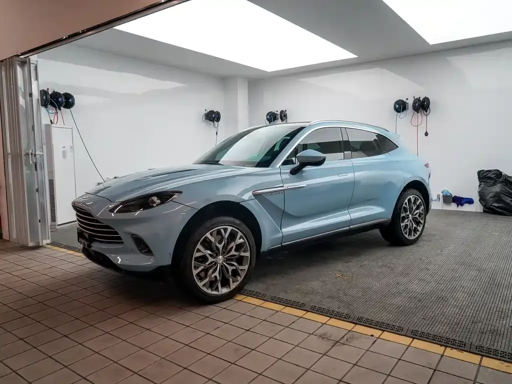 Aston Martin DBX 2022 из CN, фото 7