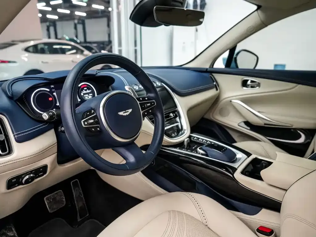 Aston Martin DBX 2022 из CN, фото 8